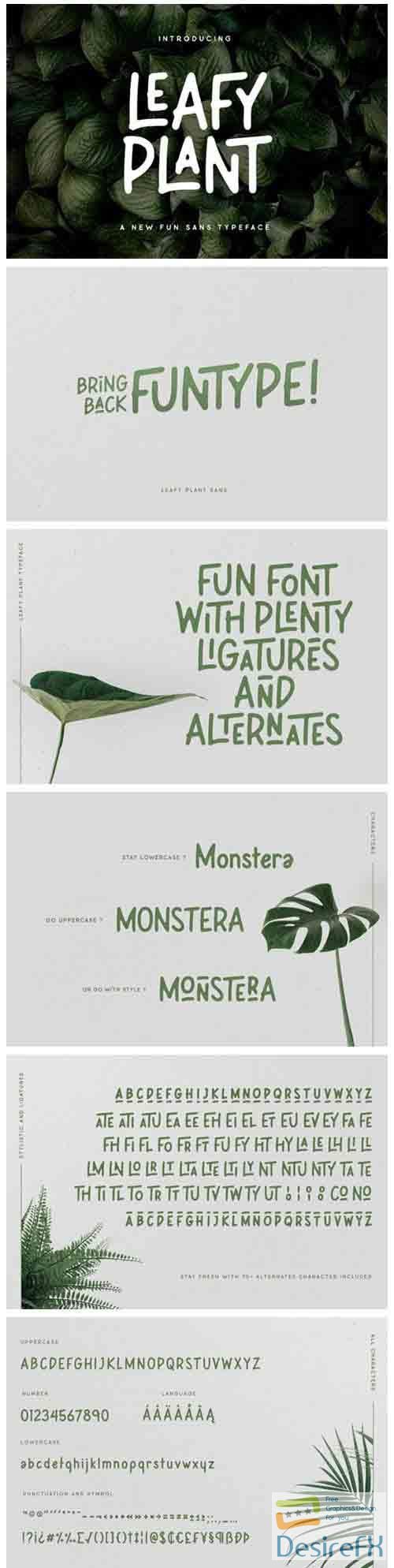 Leafy Plant Font