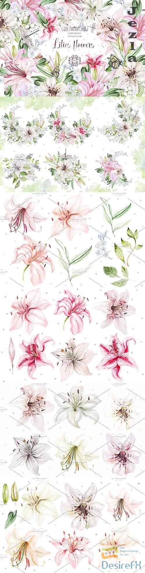 Hand Drawn watercolor flowers lily 2 - 5016942