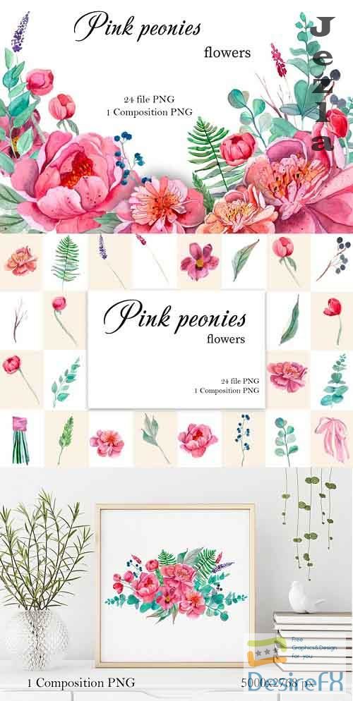 Pink Peonies Flowers Clipart - 645550