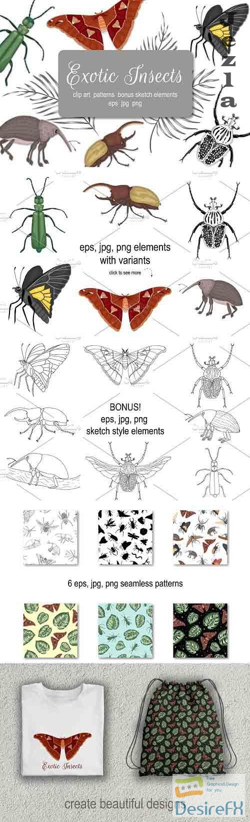 Exotic Insects - 4263317
