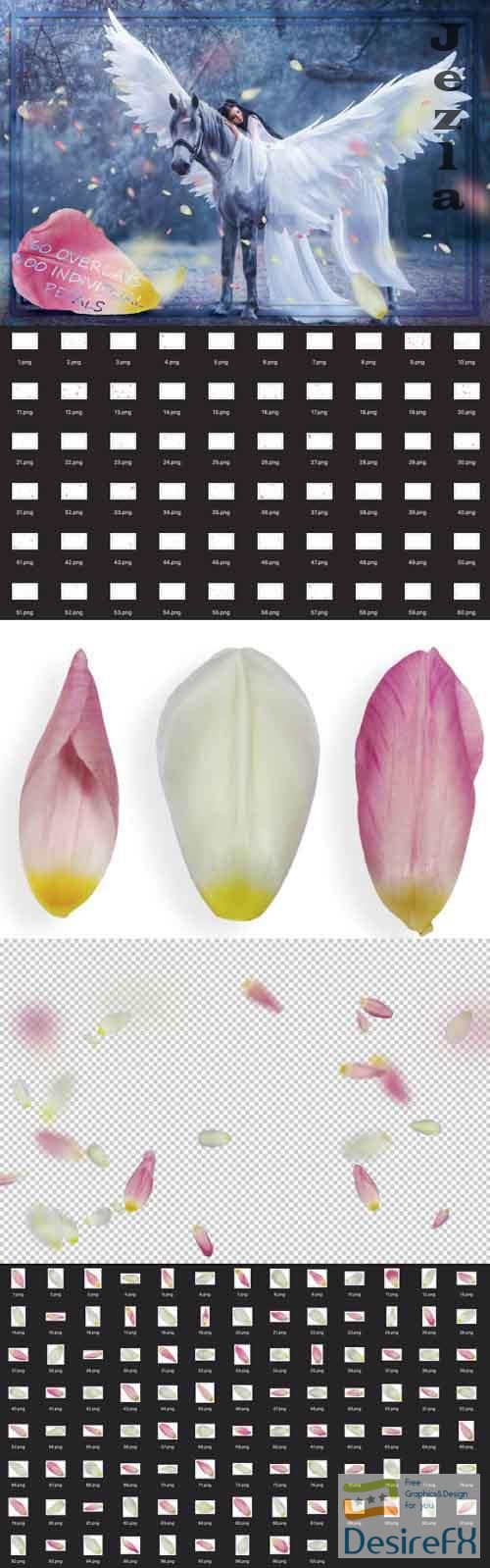 Mix Tulip Petals Overlays