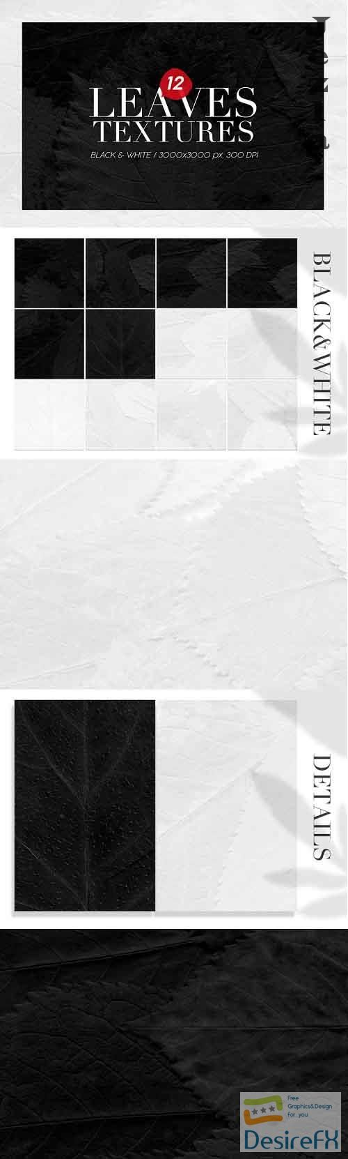 12 Black &amp; White Leaves Textures - 800381