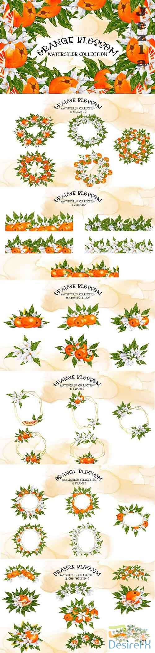 Orange Blossom-Watercolor Collection - 852253