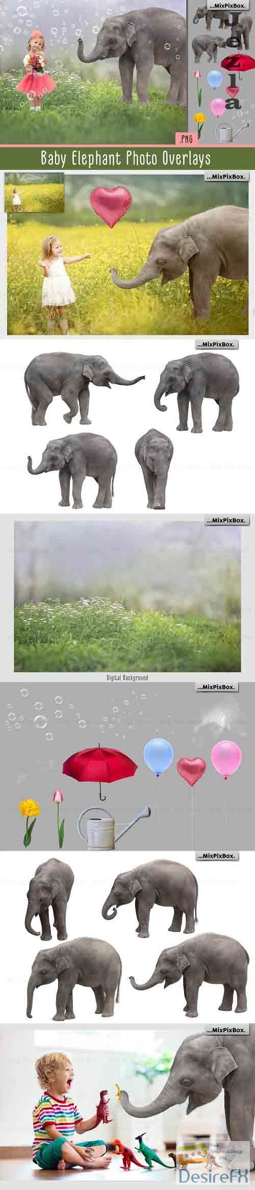Baby Elephant Photo Overlays - 5069631