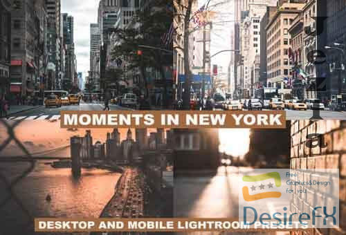 Lightroom Presets Moments in New York