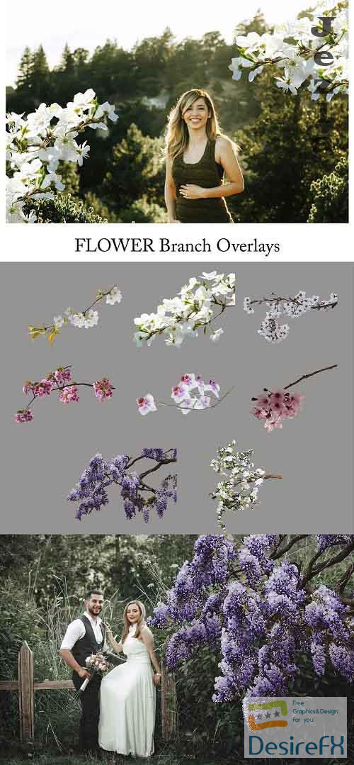 Flower Branch Overlays, PNG - 5264581