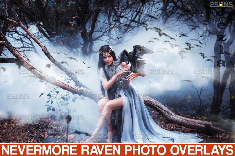 50 Halloween overlay Photoshop overlay Realistic raven - 934530