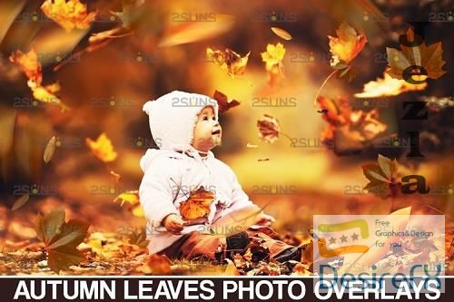 Autumn leaves overlay &amp; Falling leaf, Photoshop overlay - 950553