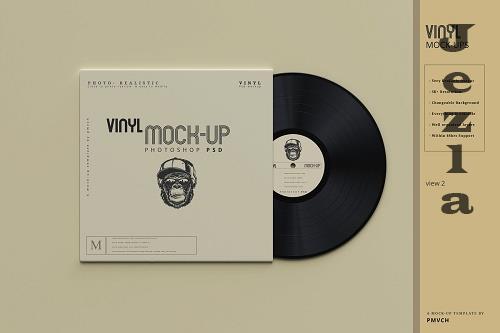 Vinyl Mockups 5485891
