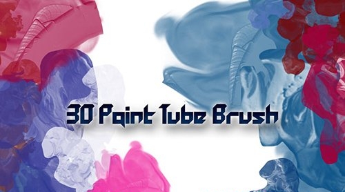 30 Paint Tube Brushes
