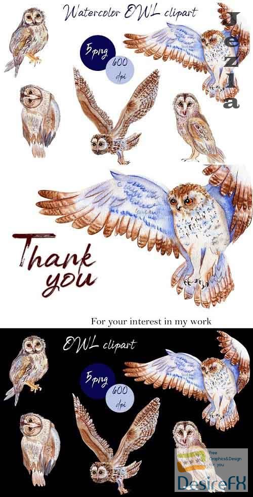 BOHO owl clipart.Watercolor woodland - 1018807