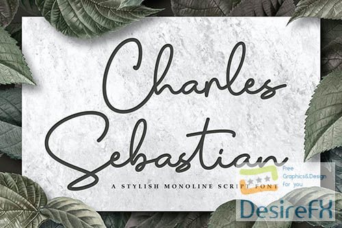 Charles Sebastian - Monoline Script Font