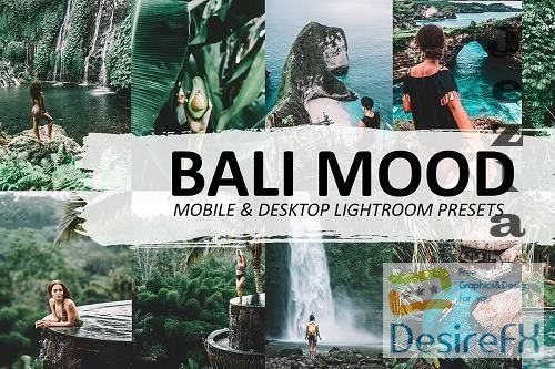 CreativeMarket - Bali Mood Lightroom Preset 5570074