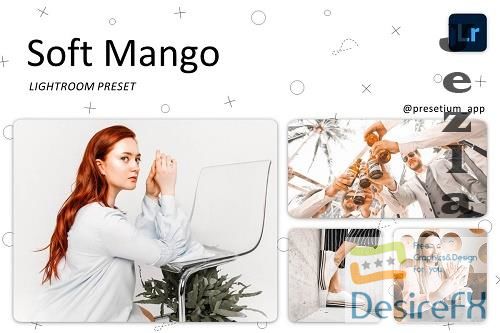 CreativeMarket - Soft Mango - Lightroom Presets 5219732