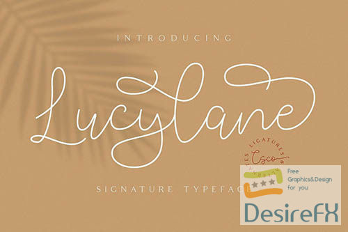 Lucylane - Signature Typeface