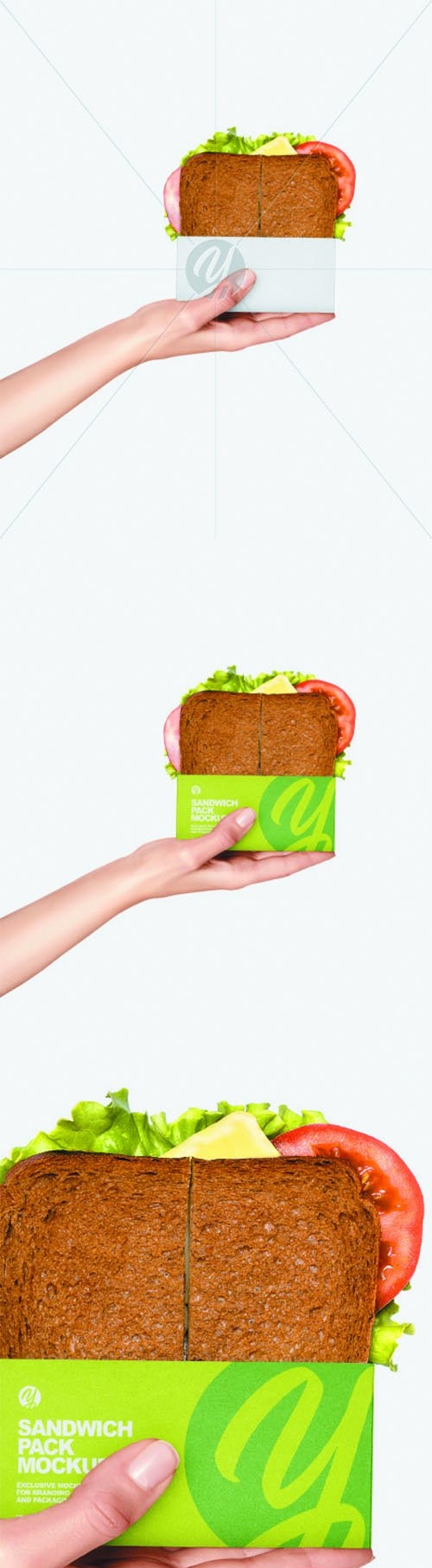 Sandwich Pack in a Hand Mockup 68904