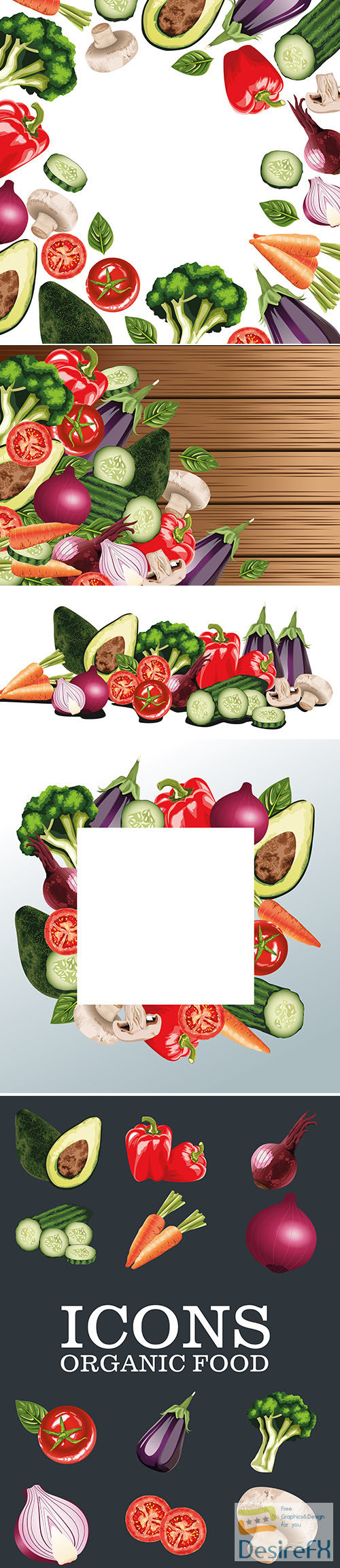 Set of fresh vegetables salad vector illustrations
