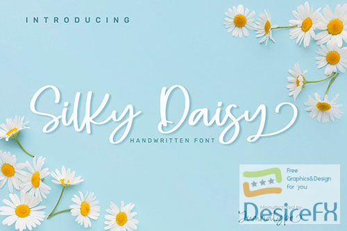 Silky Daisy