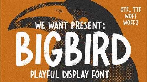 Bigbird Playful Display Font OTF-TTF