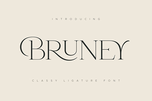 Bruney - Classy Ligature Font