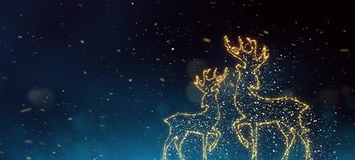 Christmas Reindeers 29416290