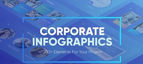 Corporate Infographics 28457251