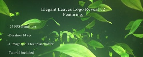 Elegant Leaves Logo Reveal V2 18142899