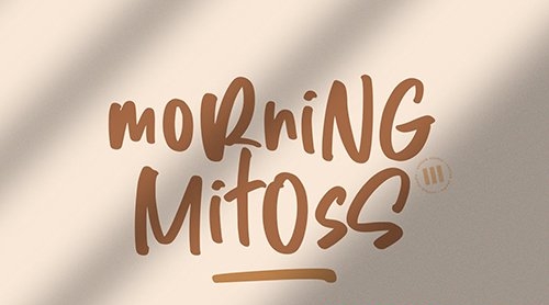 Morning Mitoss