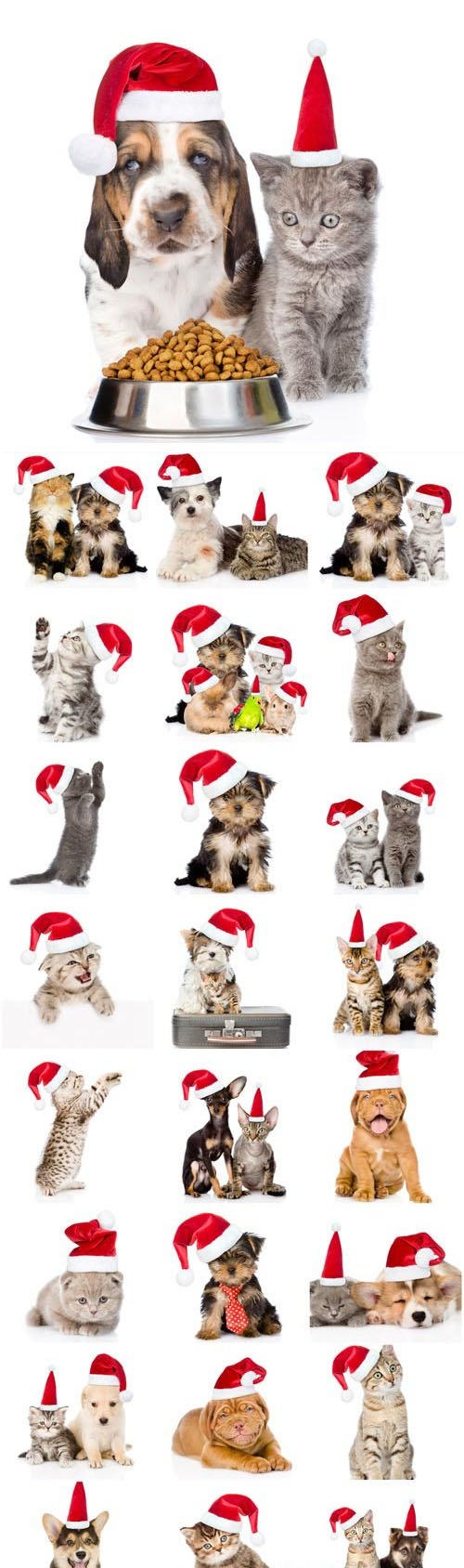 New Year and Christmas stock photos - 52