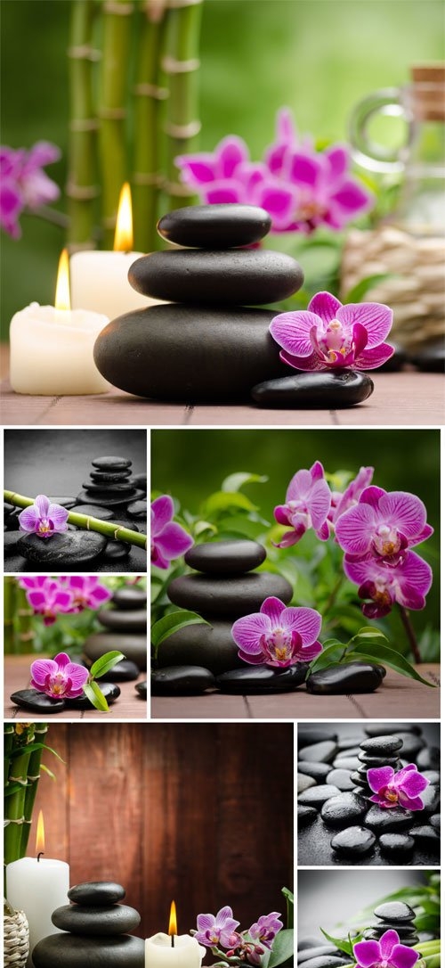Orchids and spa stones stock photo