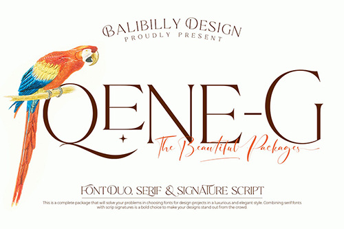 Qene-G - Serif & Signature Script Font Duo