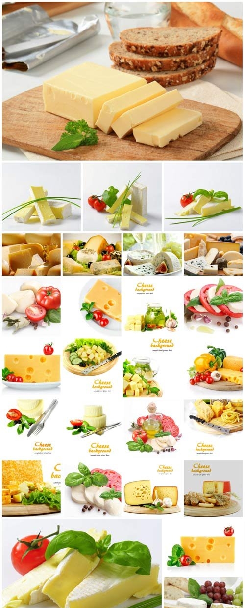 Various types of cheese stock photo