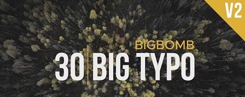 Big Typo II 20275881