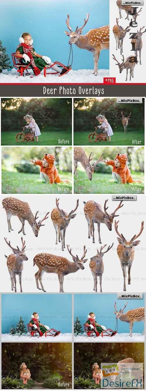 Deer Photo Overlays - 5814758
