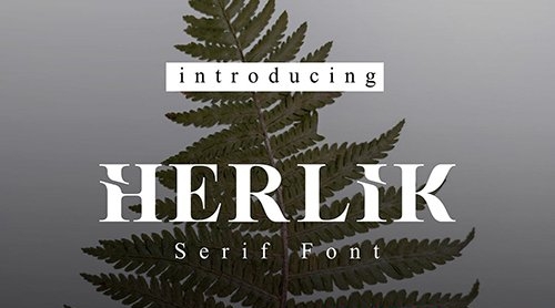 Herlik | Modern Serif Font