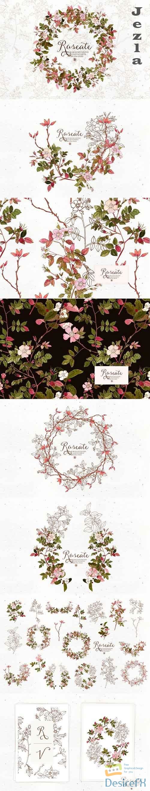 Roseate - watercolor floral clipart - 5807664