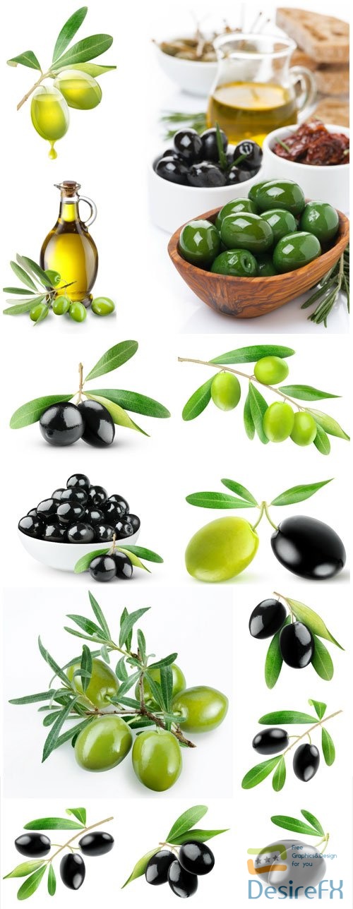 Sprigs with olives, olive oil stock photo