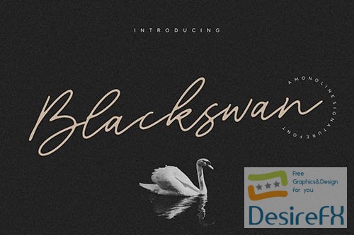 Blackswan Signature Font YH