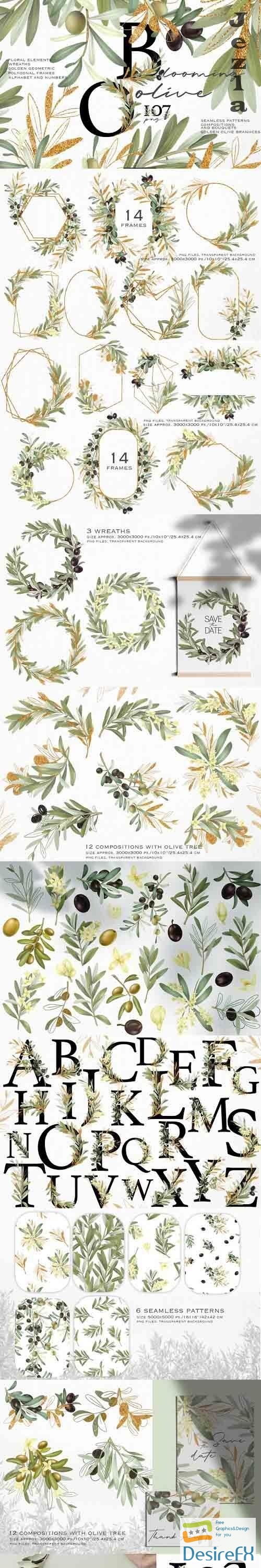 Blooming olive collection - 1213085