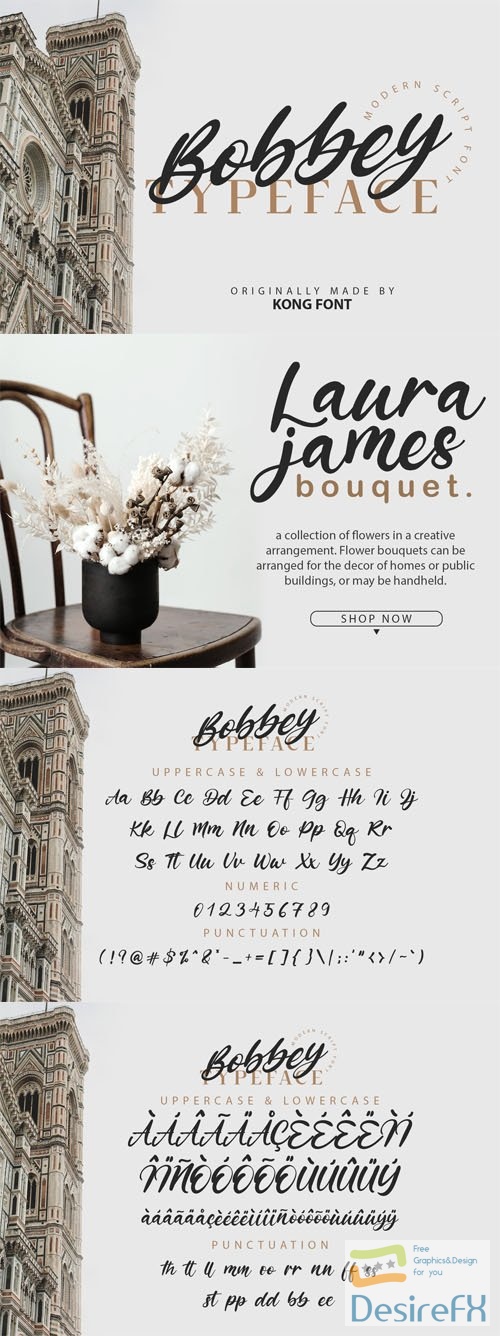 Bobbey Typeface - Modern Scipt Font 2-Weights
