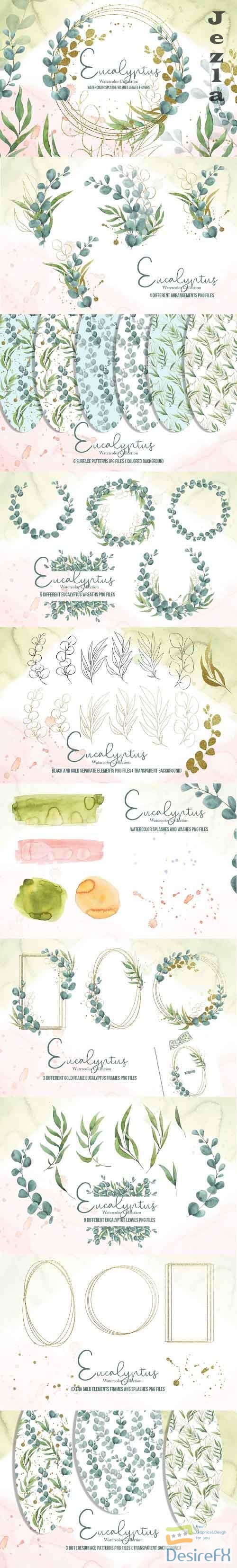 Eucalyptus Watercolor Collection - 5907503
