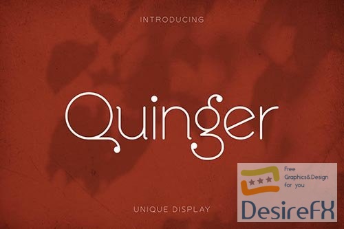 Quinger - Unique Sans Display