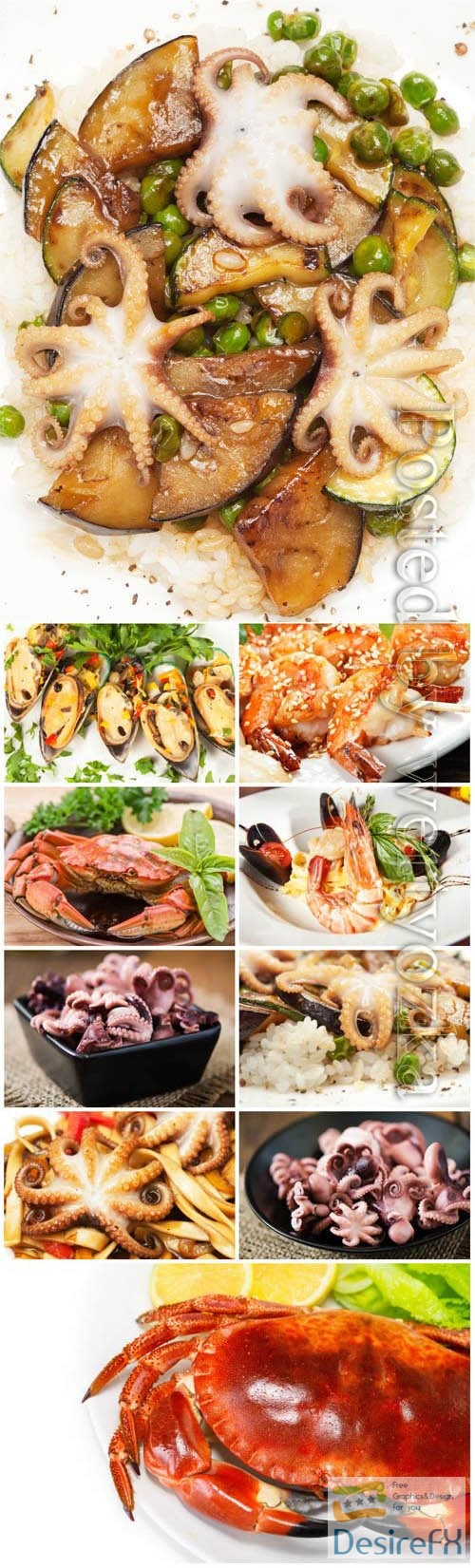 Seafood, delicious food stock photo