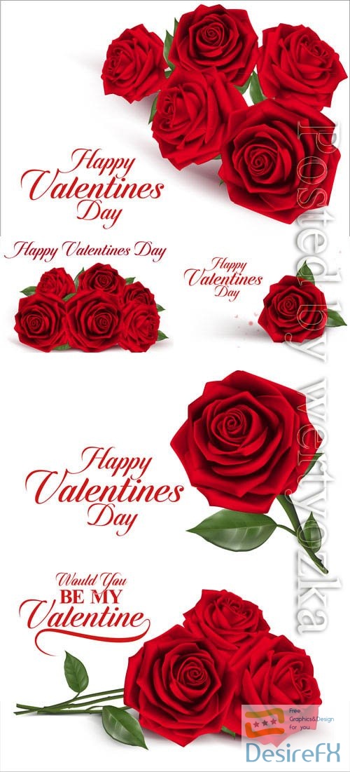 Valentine's day, red roses in vector