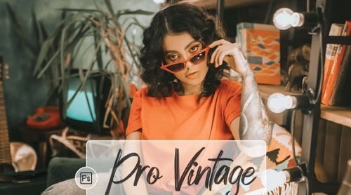09 Pro Vintage Actions, ACR, LUT Presets