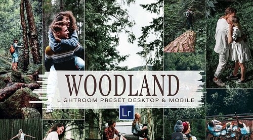 10 Woodland Mobile & Lightroom - 5900247
