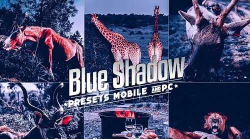 Blue Shadow For Mobile and Desktop Lightroom