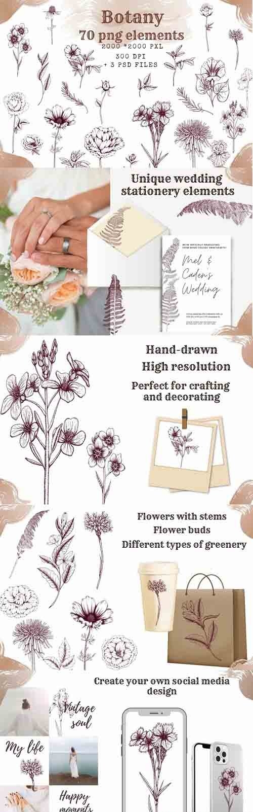 Botanical aesthetic clipart,hand drawn floral design element - 1246269