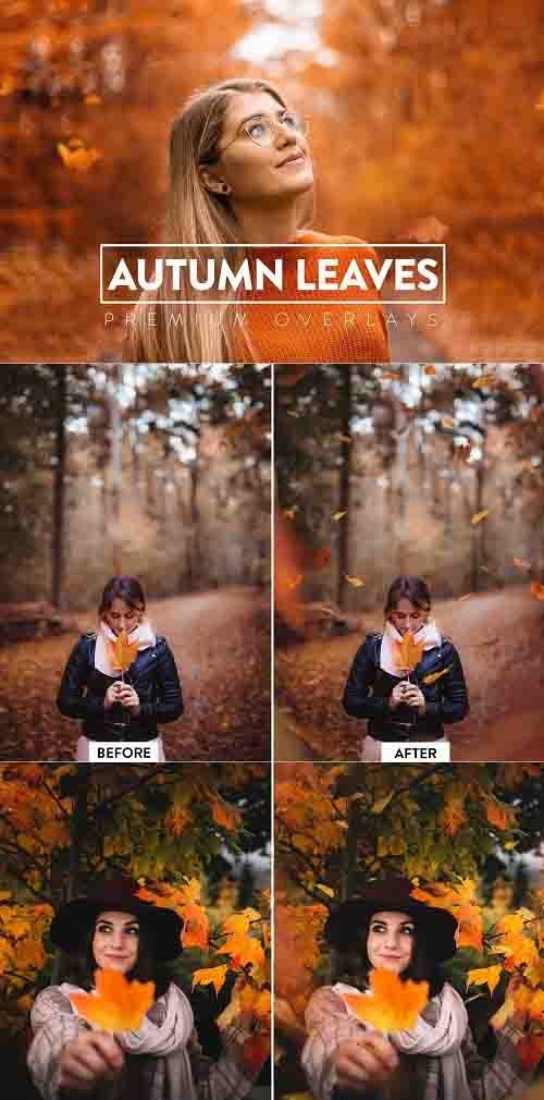 CreativeMarket - 40 Autumn Leaves Overlays 5928912