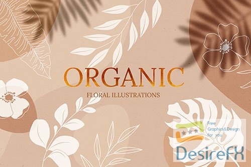Organic Floral Illustrations